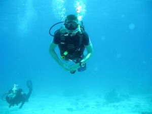 ������� ���� ��������� ���� W: 384 H: 288