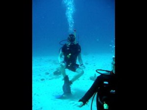������� ���� ��������� ���� W: 384 H: 288
