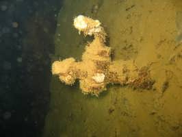 ������� ���� ��������� ���� W: 1280 H: 960