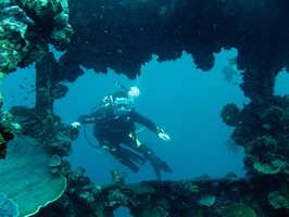 ������� ���� ��������� ���� W: 1024 H: 768