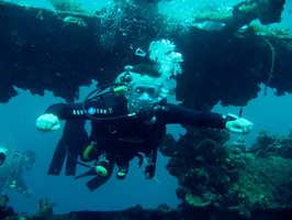 ������� ���� ��������� ���� W: 1024 H: 768