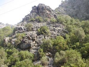 ������� ���� ��������� ���� W:  H: 