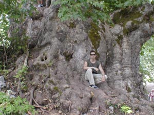 ������� ���� ��������� ���� W:  H: 