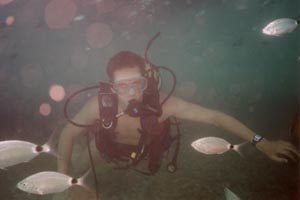 ������� ���� ��������� ���� W: 1024 H: 683