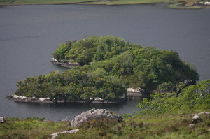 ������� ���� ��������� ���� W: 800 H: 533
