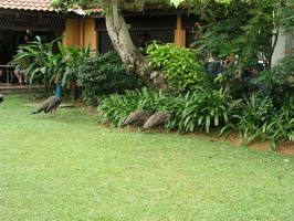 ������� ���� ��������� ���� W: 800 H: 600