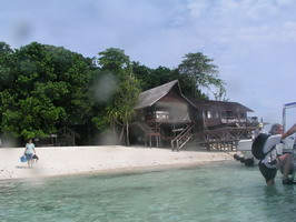 ������� ���� ��������� ���� W: 1024 H: 768