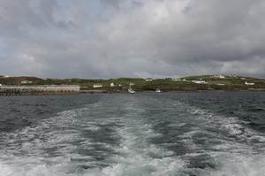 ������� ���� ��������� ���� W: 800 H: 533