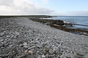 ������� ���� ��������� ���� W: 800 H: 533
